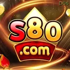 s80 - 6
